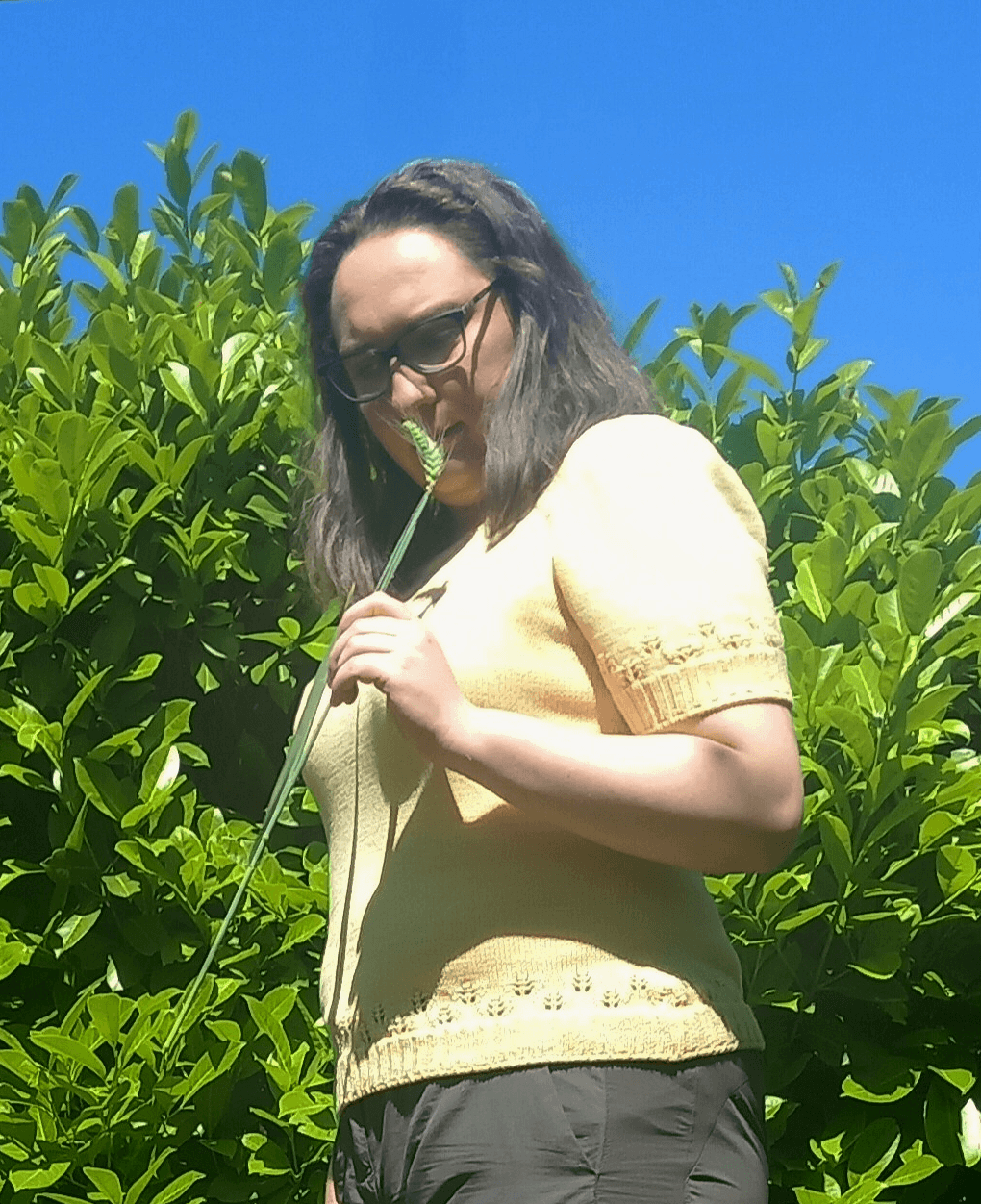 donna che tiene in mano una spiga circondata dalla natura mentre indossa una maglietta estiva in lana merino giallo burro con motivi a traforo che richiamano delle spighe
